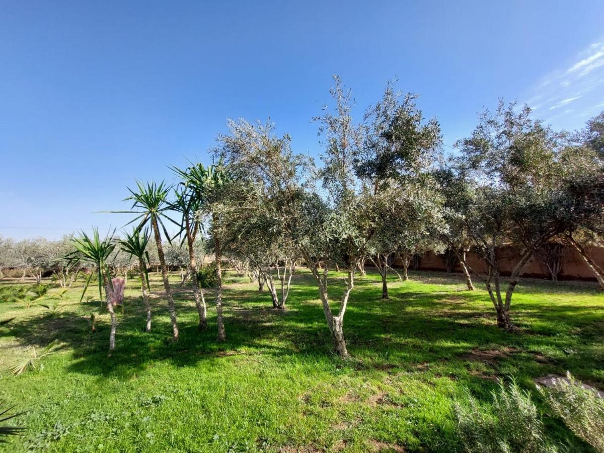 مبيت وإفطار مراكش Manzal Lahbab المظهر الخارجي الصورة